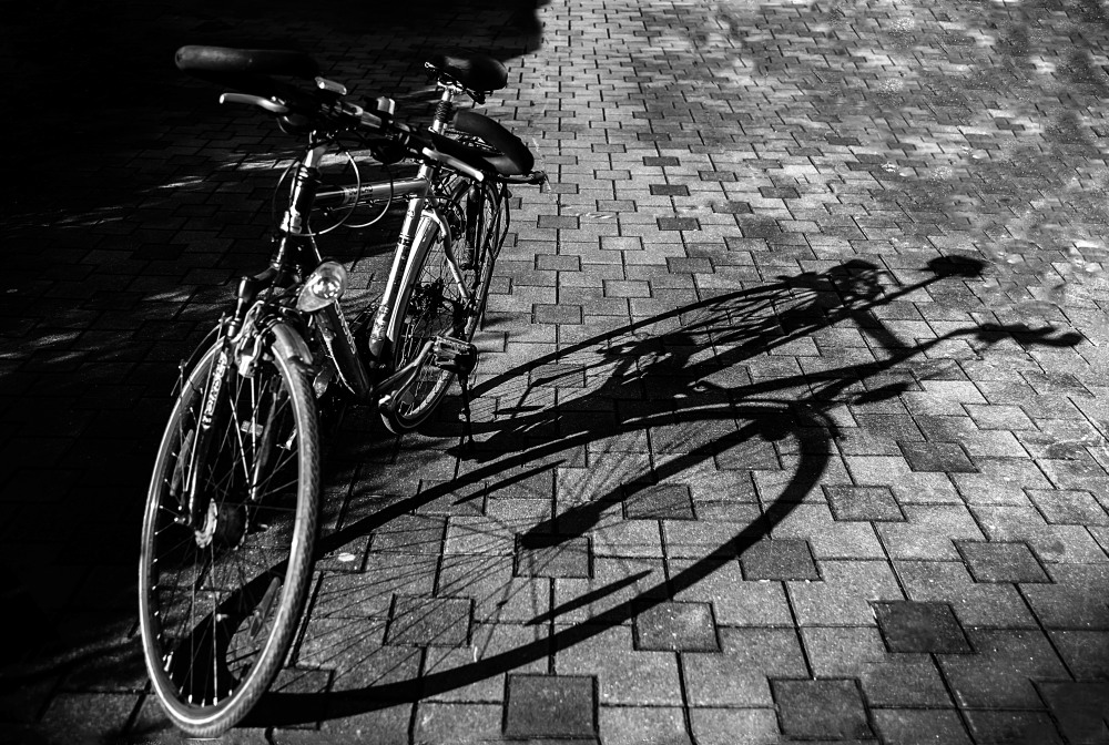 12. Platz Rudi Schmid